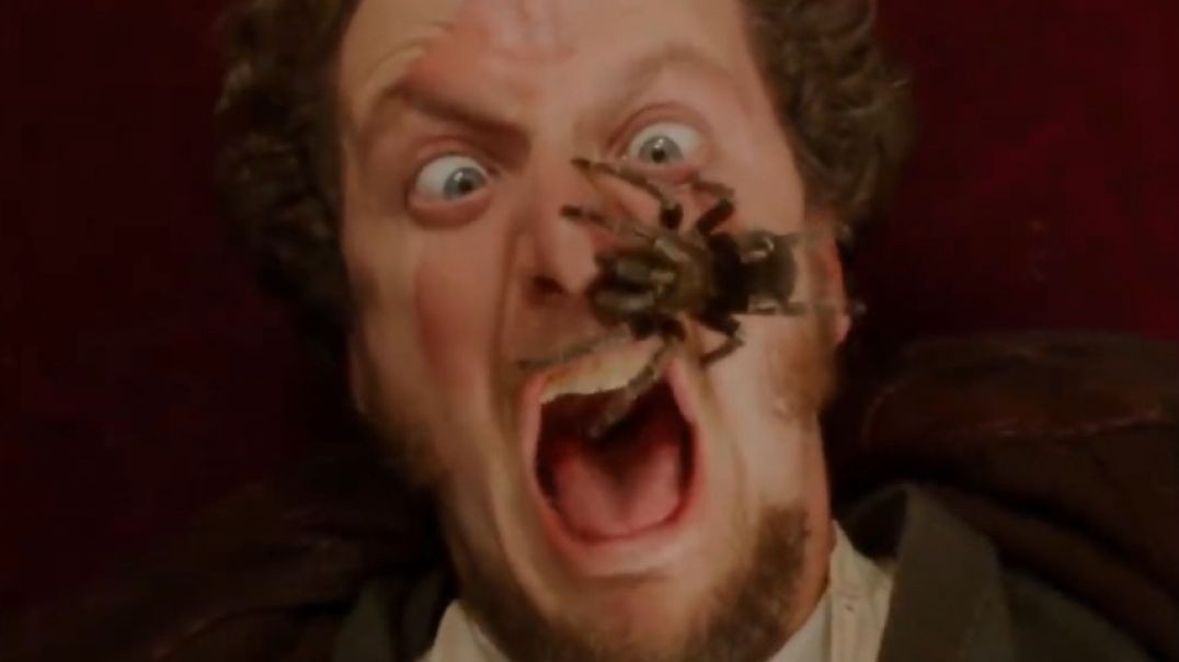 Spider Scene From Home Alone