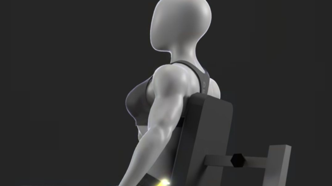 Glutes