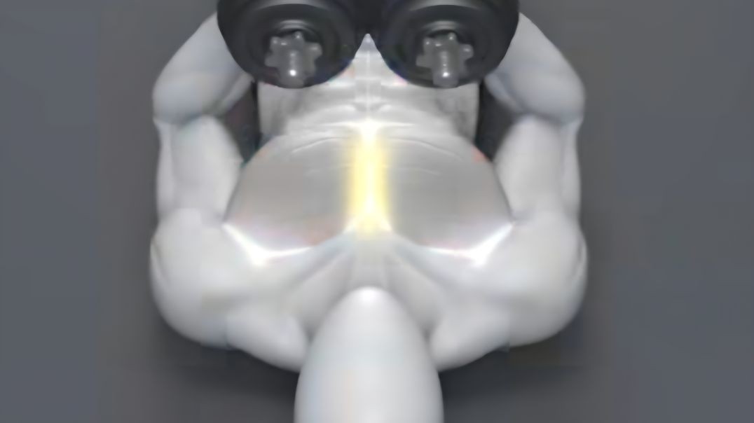 ⁣Dumbbell exercises