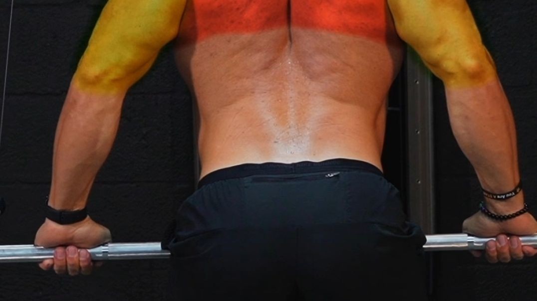 Back Exercises
