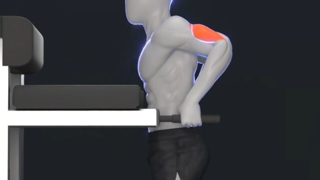 ⁣Chest and Triceps training