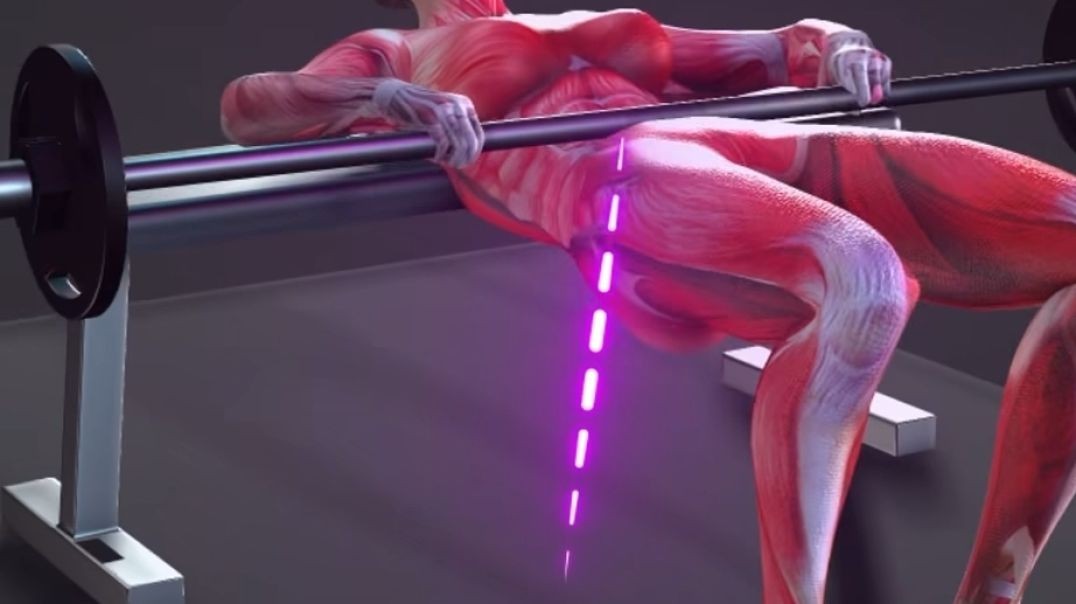 Growing Glutes