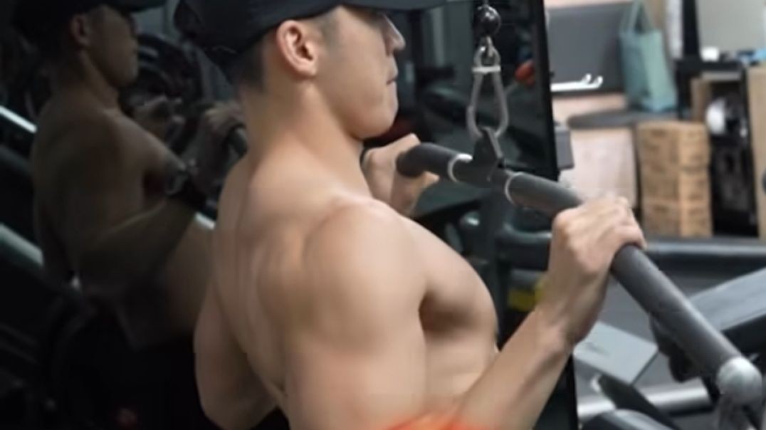Pull Day Exercise