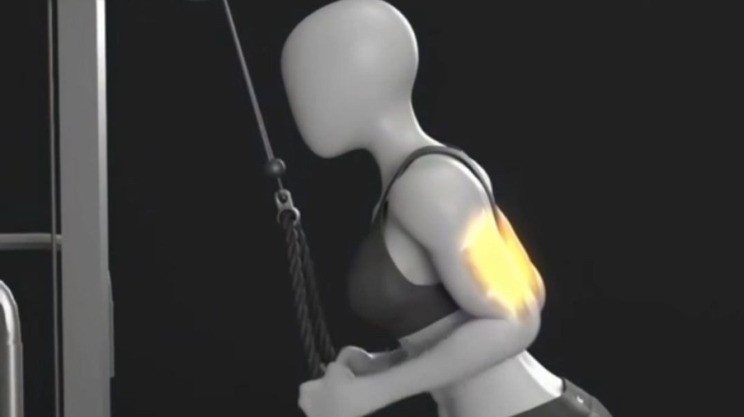 Triceps Extensions