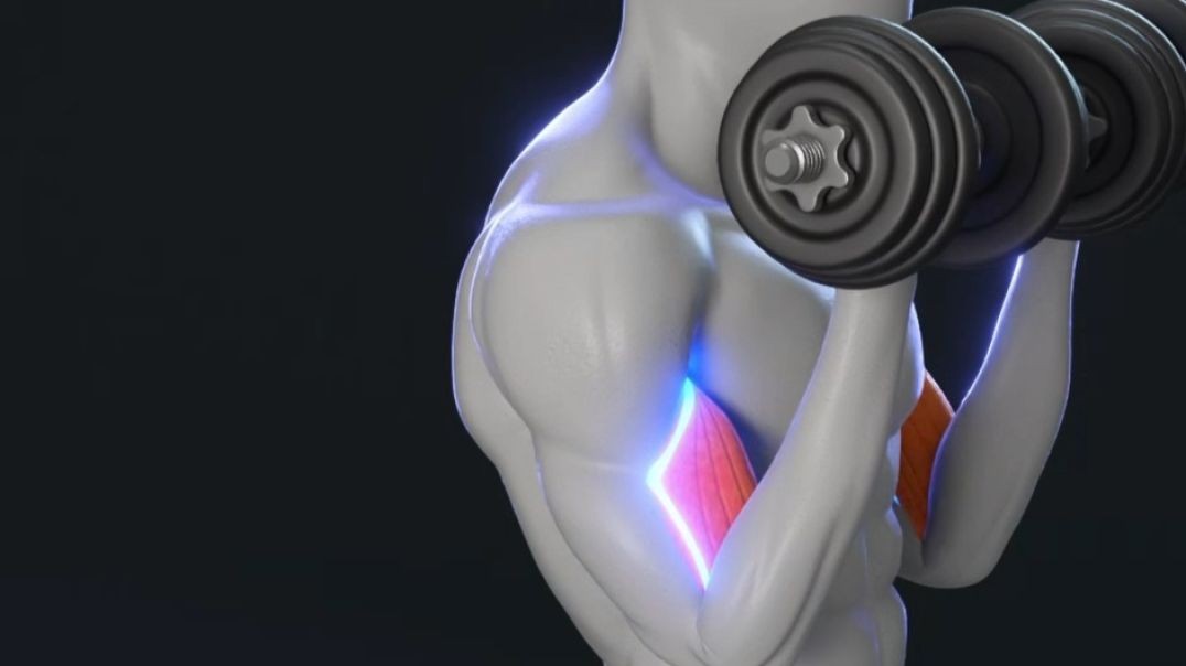 ⁣Sculpting your upper body